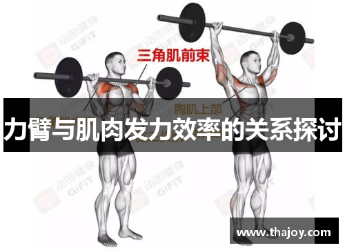 力臂与肌肉发力效率的关系探讨